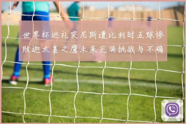 世界杯巡礼突尼斯遭比利时五球惨败迦太基之鹰未来充满挑战与不确定性