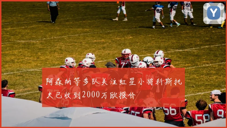 阿森纳等多队关注红星小将科斯托夫已收到2000万欧报价
